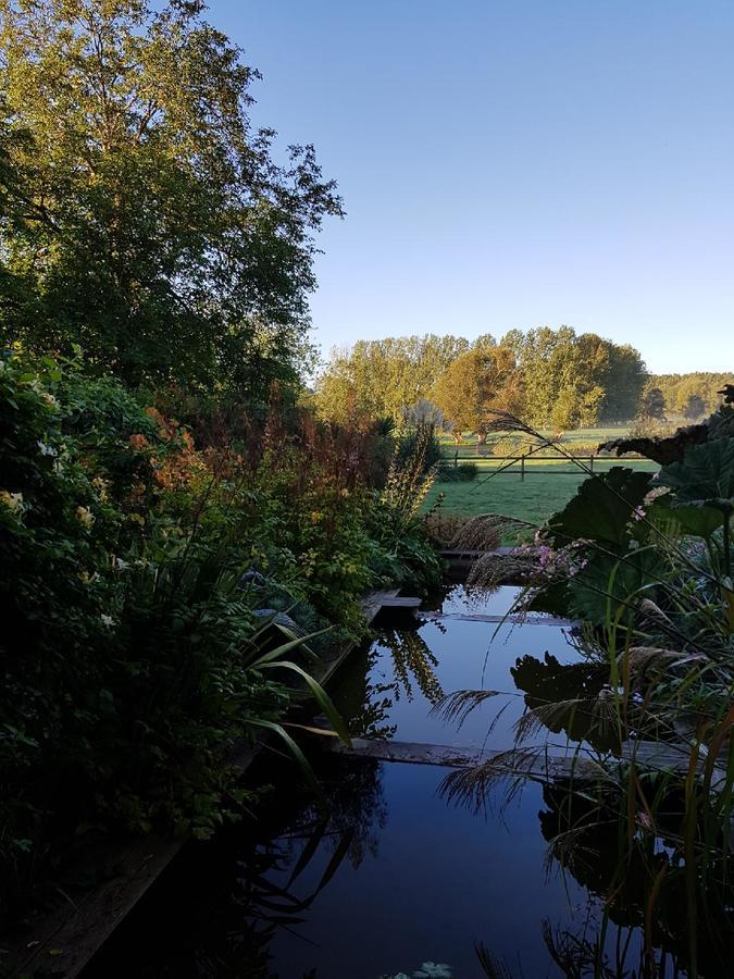 Les Buis De Boscherville Gite Hénouville 外观 照片
